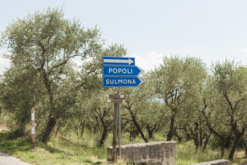 https://www.simonapaleari.com/files/gimgs/102_mg2966.jpg