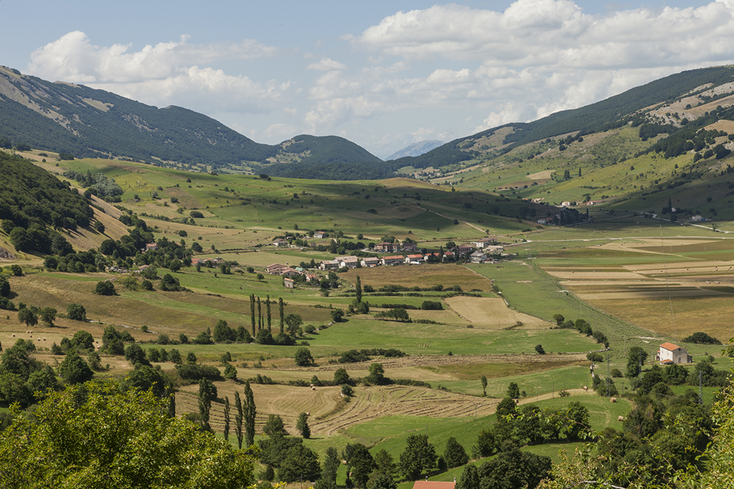 https://www.simonapaleari.com/files/gimgs/102_mg4000.jpg